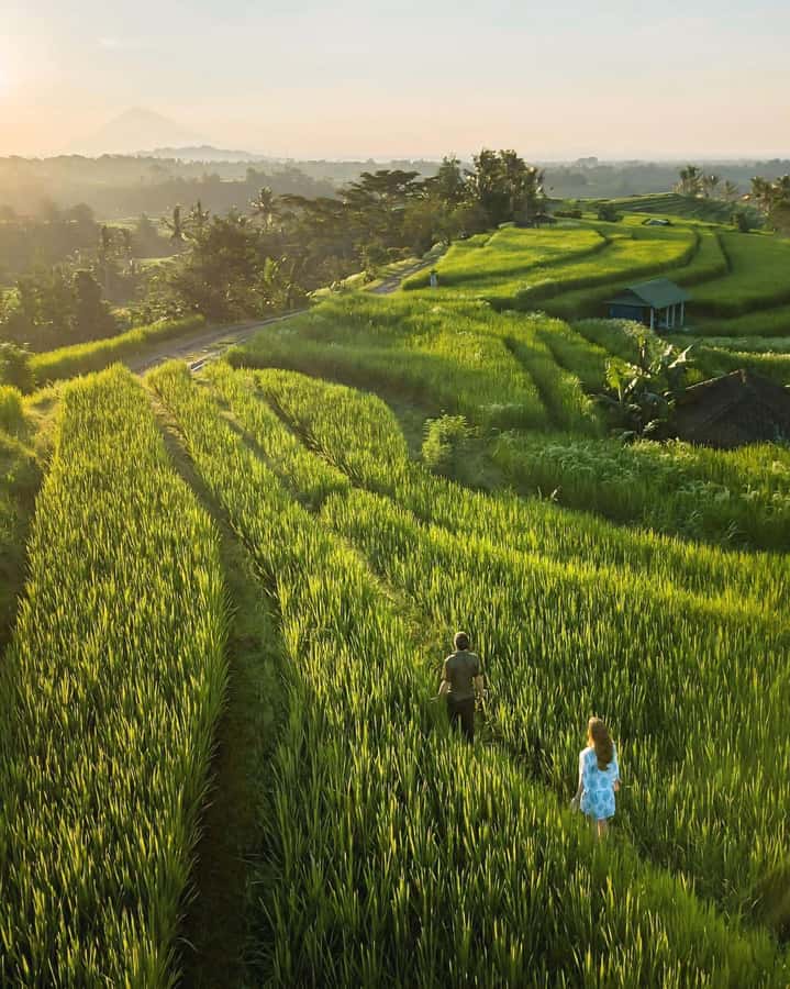 Bali: Discover Jungle Waterfalls and Rice Terraces - Pickup timing matters more than you think