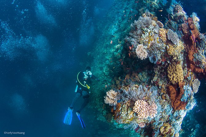 Bali Diving Day Trip-Manta Point/Tulamben Shipwreck-Fun Dive - Your day’s flow: Seminyak pickup, Sanur check-in, and the road to Tulamben