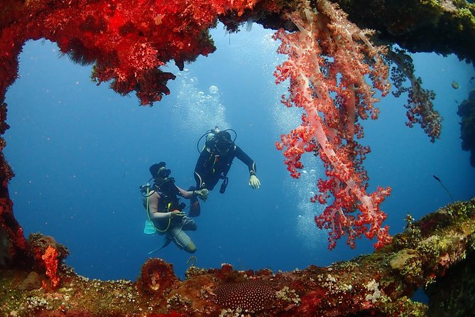 Bali Diving for Beginners: Tulamben Liberty Wreck - The USS Liberty wreck session: what the structure adds for beginners