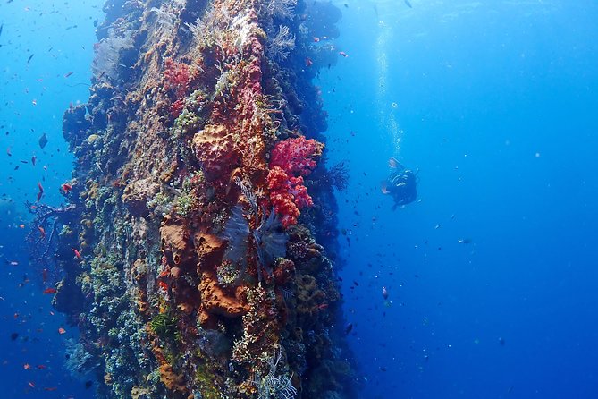 Bali Diving for Beginners: Tulamben Liberty Wreck - Itinerary flow: how the 5 hours usually feel