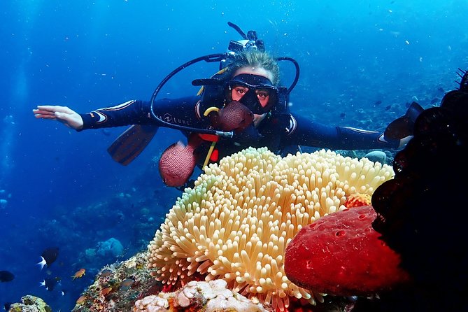 Bali Diving for Beginners: Tulamben Liberty Wreck - Price and included value: what $89 really covers in real terms