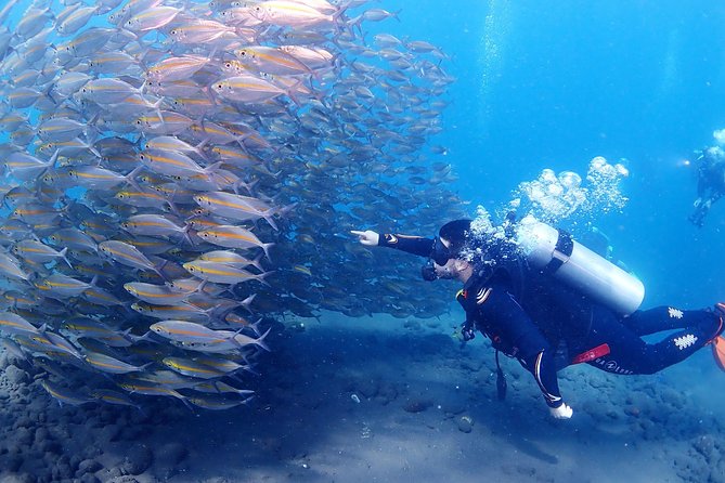 Bali Diving for Beginners: Tulamben Liberty Wreck - What’s included for comfort: lunch, hot drinks, water, and changing space