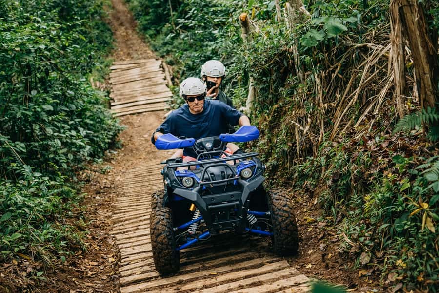 Bali: Dolphin Swimming Tour with ATV Quad Bike & Waterfall - North Bali sunrise to waterfall swim, the day in plain language