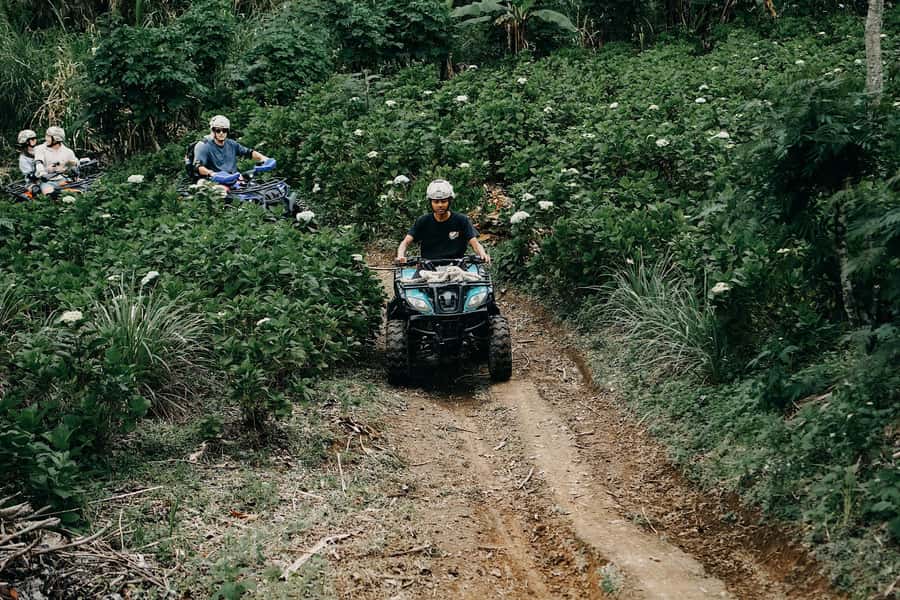 Bali: Dolphin Swimming Tour with ATV Quad Bike & Waterfall - Snorkeling in Lovina waters, good odds with mixed expectations
