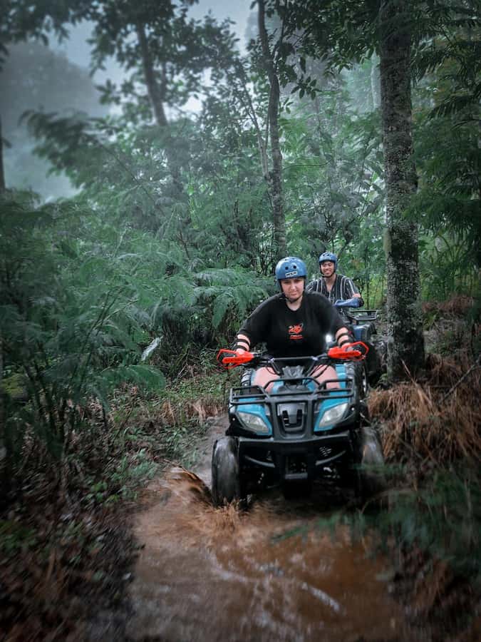 Bali: Dolphin Swimming Tour with ATV Quad Bike & Waterfall - Banyumala Twin Waterfall, where the day finally slows down