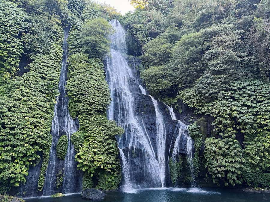 Bali: Dolphin Swimming Tour with ATV Quad Bike & Waterfall - Price value around $81, what you should budget for