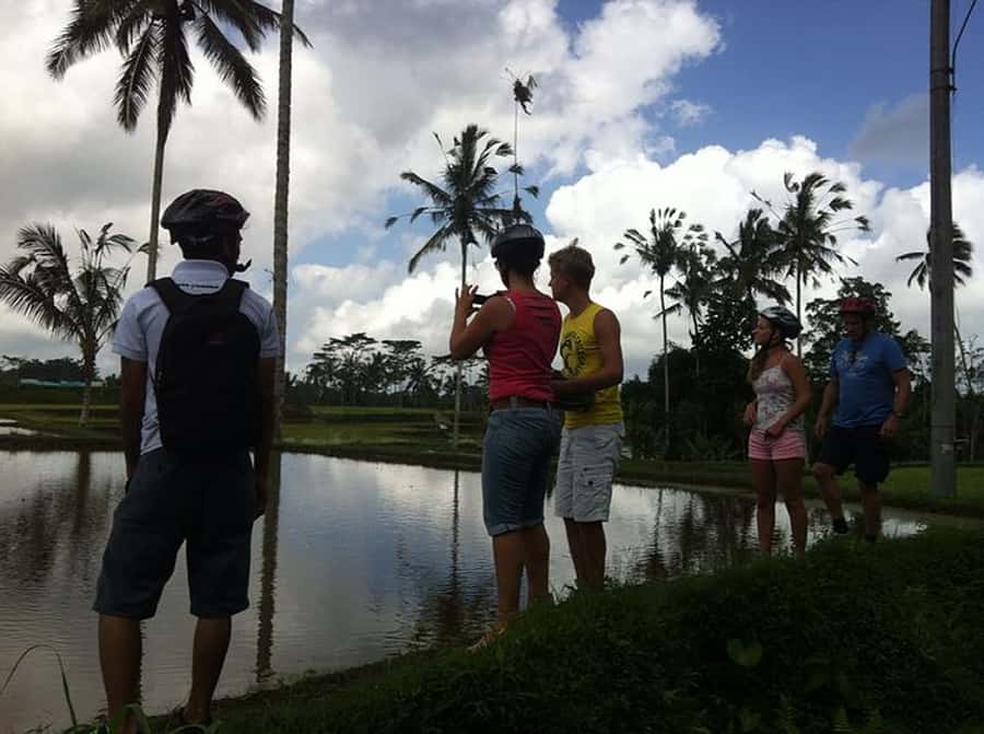 Bali Downhill Cultural Cycling Tour - Value for About $45: What You Actually Get