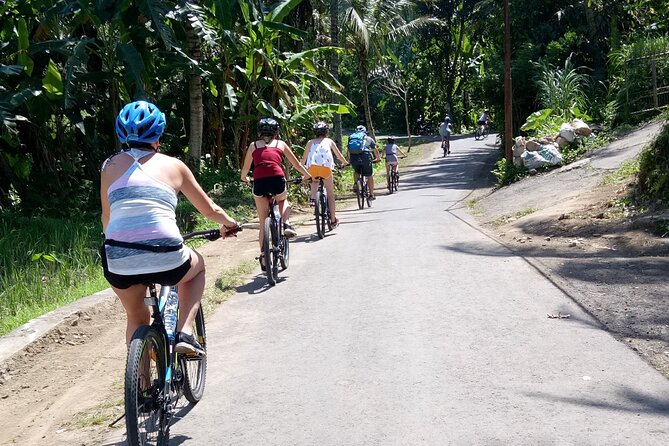 Bali Downhill Natural Cycling Tour & visit Volcano - Balinese culture stops: temple visit and a traditional home