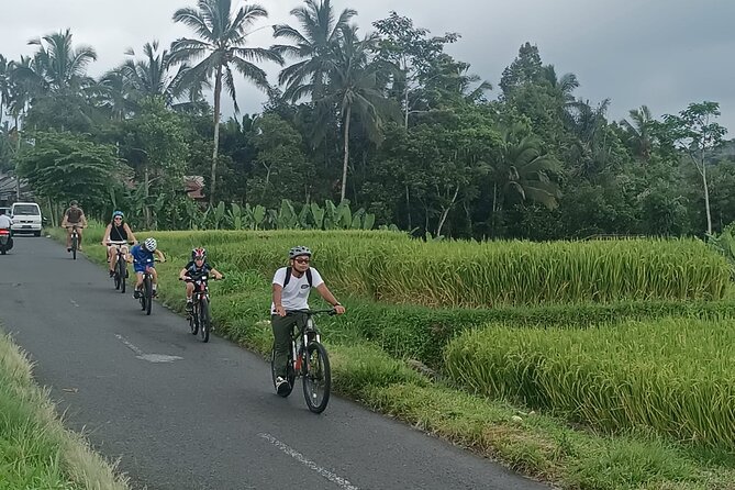 Bali Downhill Natural Cycling Tour & visit Volcano - Rice paddies, photos, and the coffee break you will actually remember
