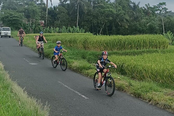 Bali Downhill Natural Cycling Tour & visit Volcano - Bikes, safety, and how the day stays easy