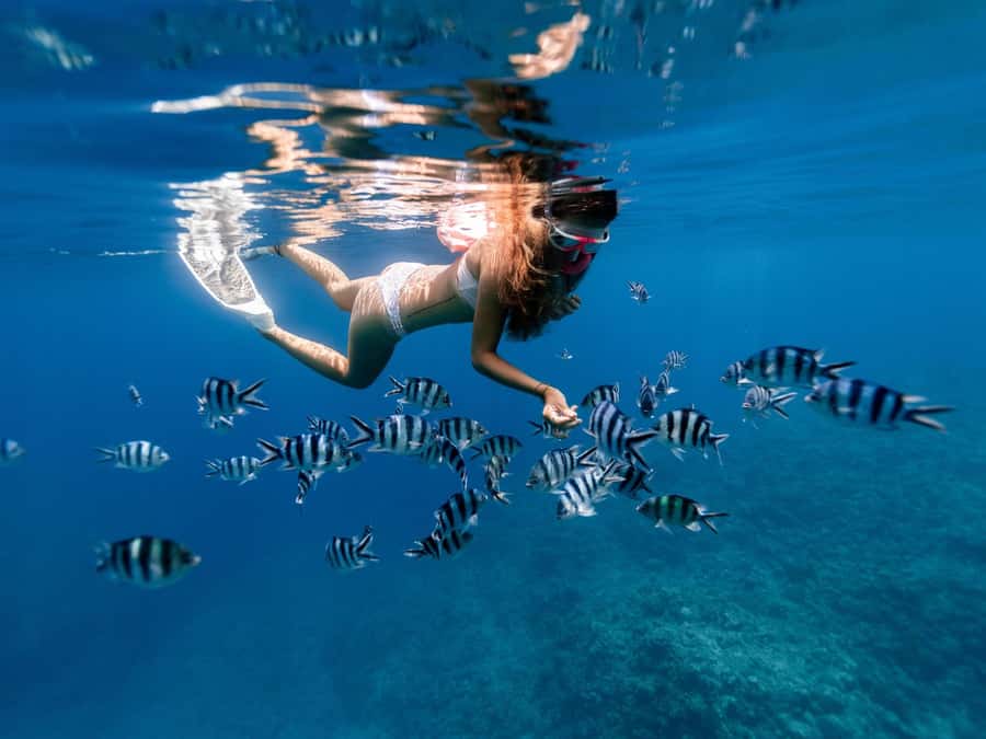 Bali: East Bali Hidden Gems. Exotic Beaches & Waterfalls. - Pick-up and drop-off: it starts easy, then stays flexible