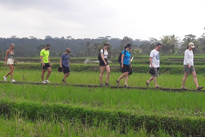 Bali Eco & Educational Cycling Tour - The bike ride: downhill on secret back roads