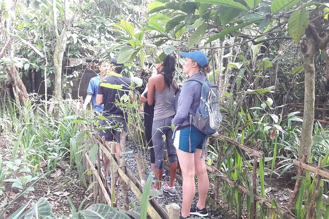 Bali Eco & Educational Cycling Tour - Lunch, snacks, and coffee break that keep the day on track