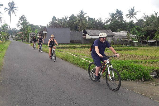 Bali Eco & Educational Cycling Tour - Price and value for 8 to 10 hours on a bike