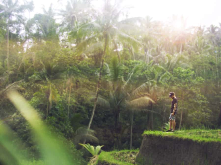 Bali: Full-Day Eat Pray Love Tour with Rice Terraces & Yoga - Tirta Empul purification, the spiritual part done with respect