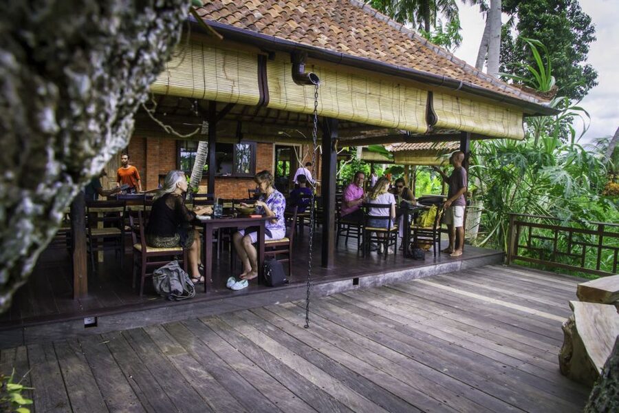 Bali: Full-Day Eat Pray Love Tour with Rice Terraces & Yoga - Tegalalang rice terraces, where your guide turns scenery into context