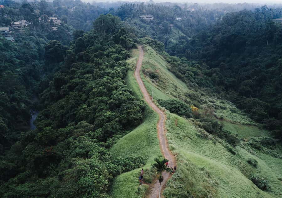 Bali: Full-Day Eat Pray Love Tour with Rice Terraces & Yoga - The value question: why $59 can make sense here