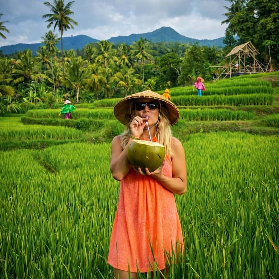 Bali: Full Day North Bali Private Customized Tour - Custom vs set routes: how to choose without overthinking it