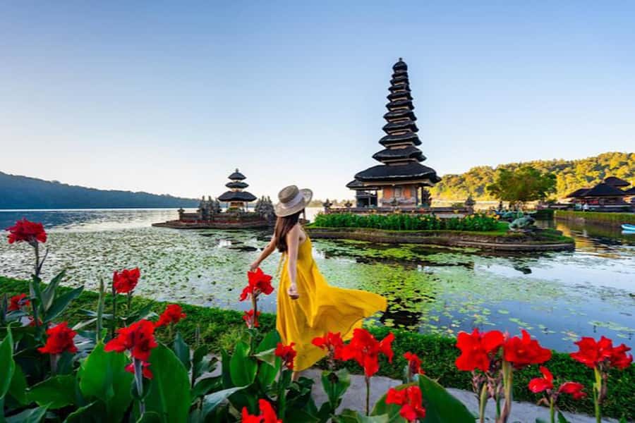 Bali: Full Day North Bali Private Customized Tour - The day’s flow: how North Bali stops fit together