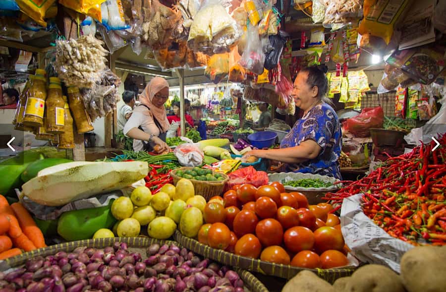 Bali: Full Day North Bali Private Customized Tour - What you should actually bring for this kind of day