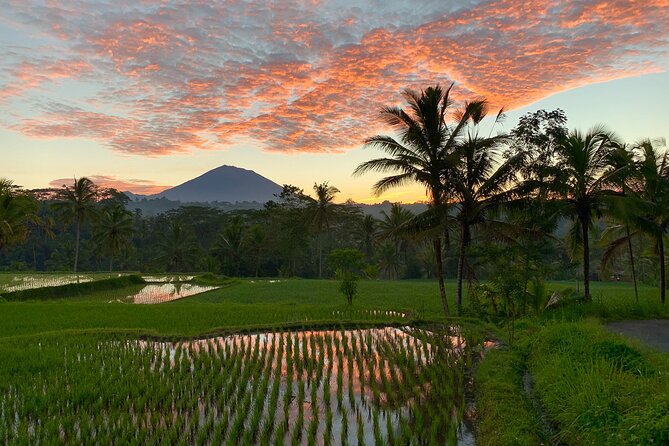 Bali Full Day Photography Tour - So who should book this Bali full day photography tour?