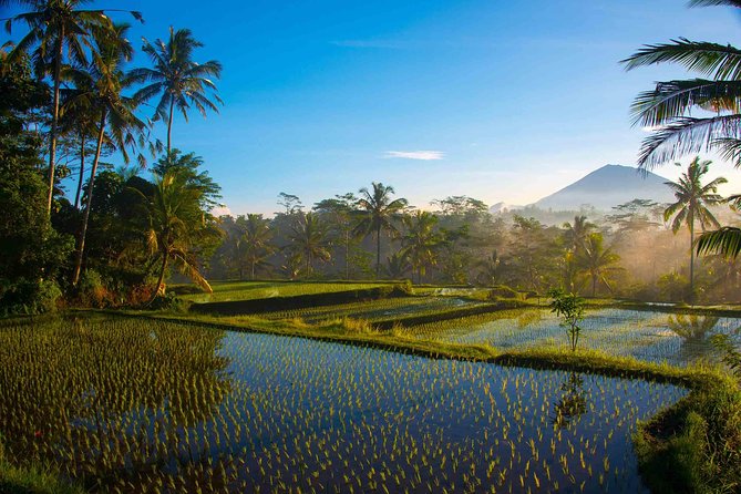 Bali Full Day Photography Tour - Tirta Empul: purification moments and respectful temple photography