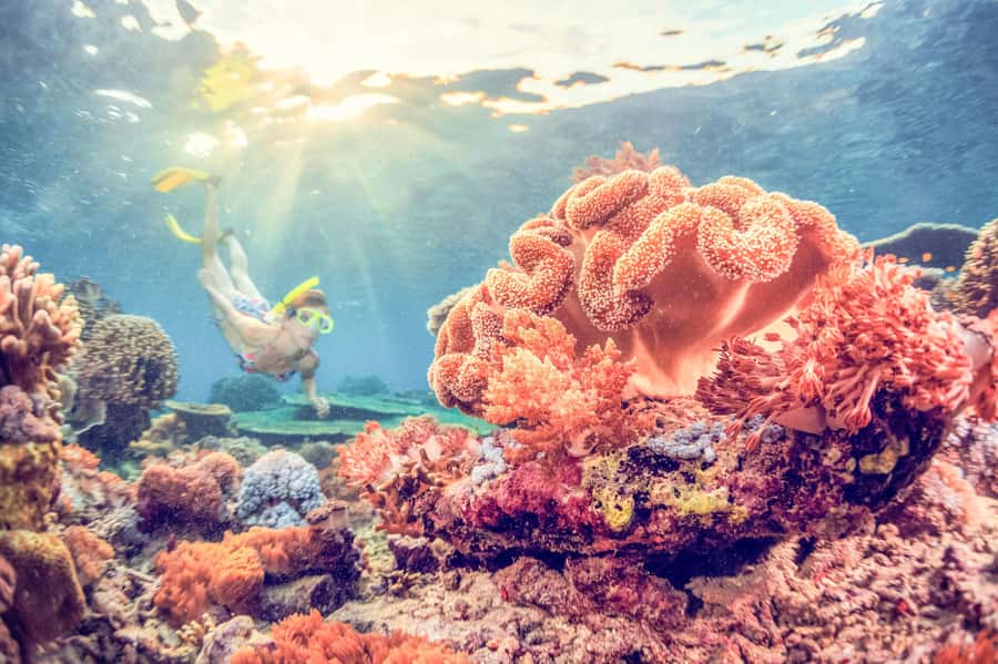 Bali: Full-Day Snorkeling Trip to Nusa Penida & Manta Point - Snorkeling session one: what you are doing and how to make it enjoyable