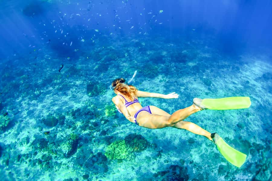 Bali: Full-Day Snorkeling Trip to Nusa Penida & Manta Point - Manta Point: the big-ticket snorkeling stop, with real-world conditions