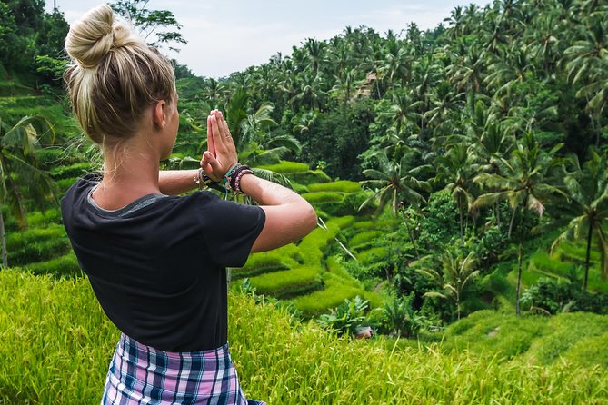 Bali Full Day Tour: Highlights of Ubud and Hidden Waterfall - Ubud, five stops, one smooth plan that saves your energy