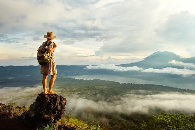 Bali Full Day Tour: Highlights of Ubud and Hidden Waterfall - How the 10-hour day actually runs, from 8:00am pickup to the hotel drop-off