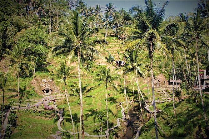 Bali Full Day Tour | Individual Route in Bali | Bali Guide | Free Wi-Fi - The guide and driver factor: safety, English, and patience matter
