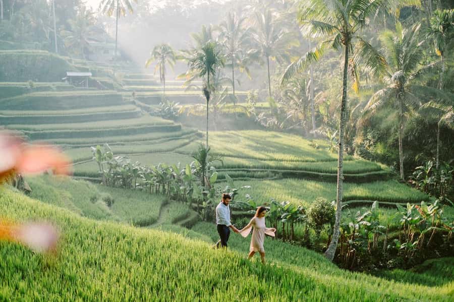 Bali: Full-Day Trip to Penglipuran Village and Bamboo Forest - Price and Logistics: Is $43 Worth a Full Day?