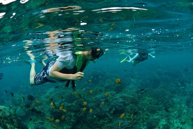 Bali Hai - Aristocat Sailing Cruise - From Seminyak to Benoa Pier, Without the Headache