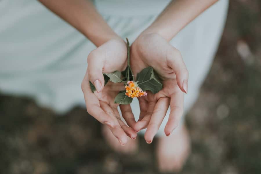 Bali: Healing and Aura Cleansing Tour with Yoga & Meditation - Morning yoga with pranayama, Hatha asanas, and real wind-down time