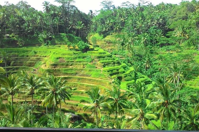 Bali Hindu temple, Rice terrace, Waterfall -All Inclusive - Tegenungan Waterfall: your best chance at a real water moment