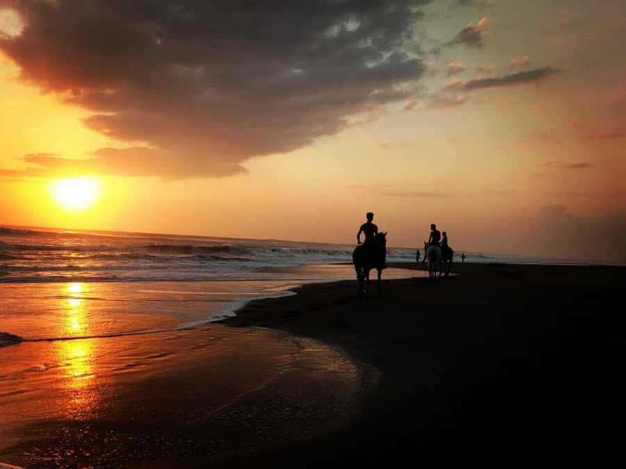Bali: Horse Riding on Pigstone Beach and in the Rice Fields - Key things to know before you go