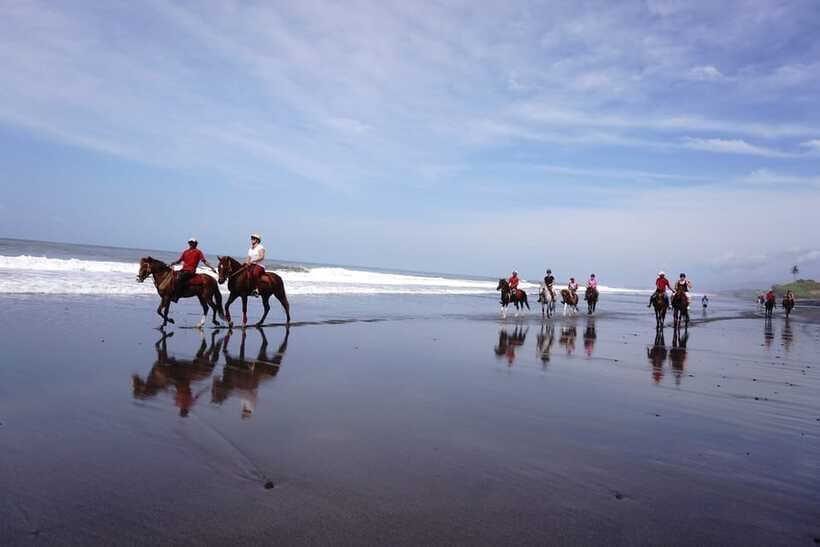 Bali: Horse Riding on Pigstone Beach and in the Rice Fields - Who should book this horse ride, and who should skip
