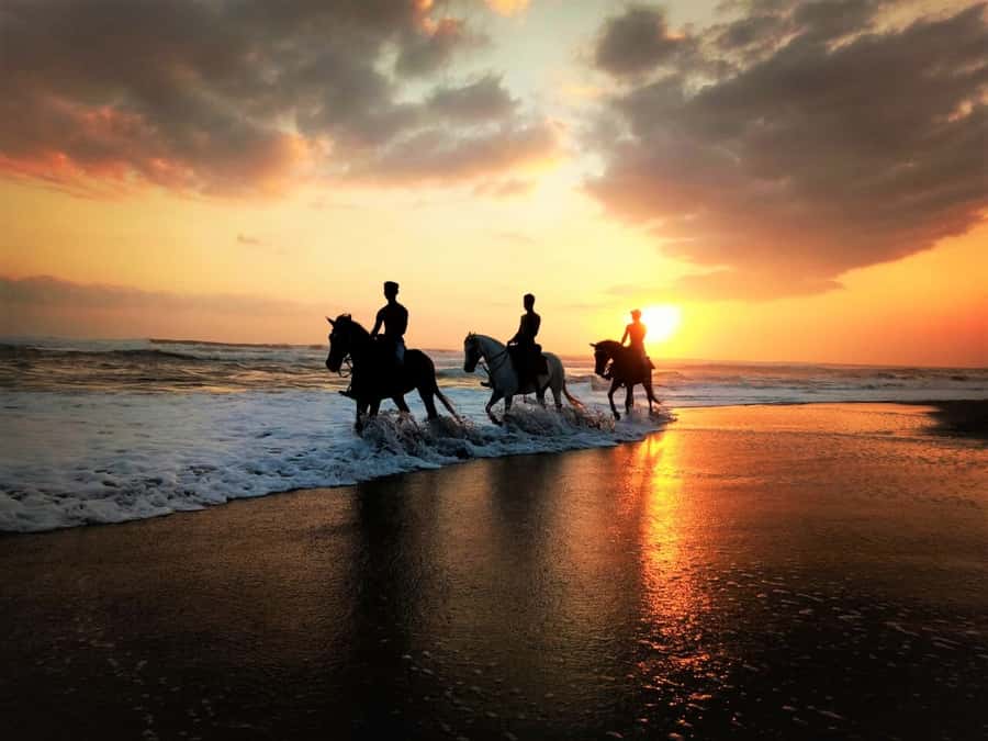 Bali: Horse Riding on Pigstone Beach and in the Rice Fields - Horseback on Rice Fields and Pig Stone Beach, what makes it work