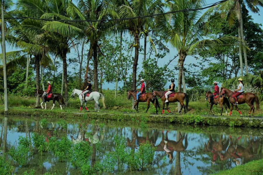 Bali: Horse Riding on Pigstone Beach and in the Rice Fields - From stables to your first steps, expect real coaching