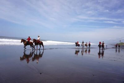 Horse Riding on Pigstone Beach and in the Rice Fields