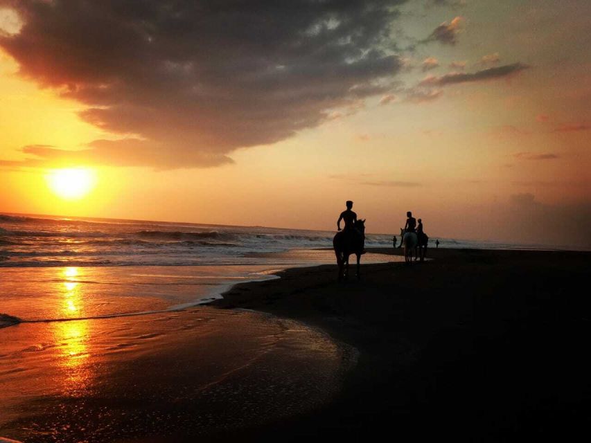 Bali: Horse Riding on Pigstone Beach and in the Rice Fields - Riding through Bali rice fields, what you actually see