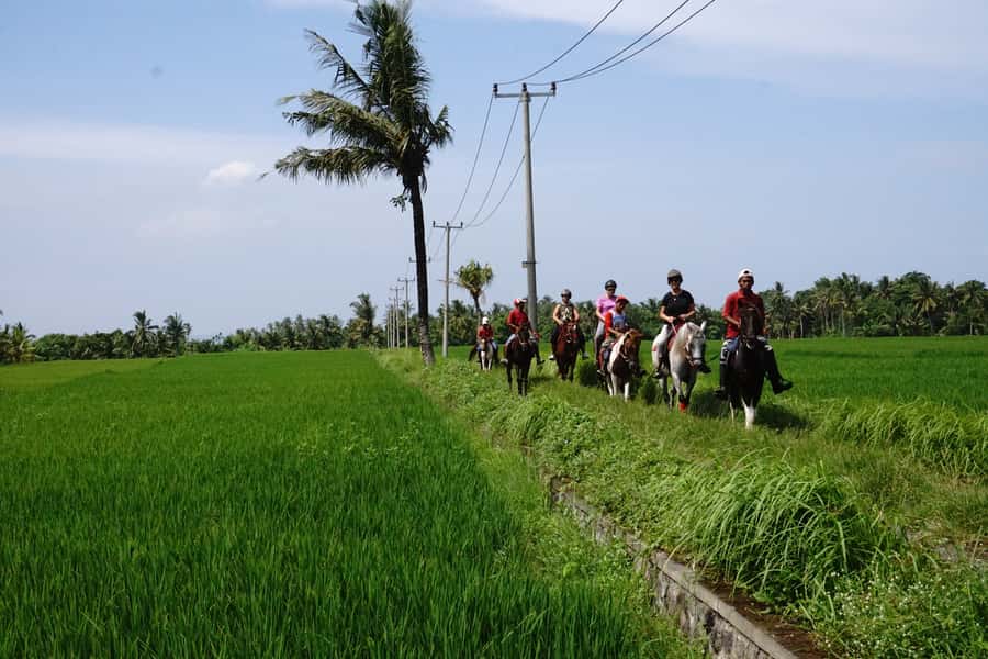 Bali: Horse Riding on Pigstone Beach and in the Rice Fields - Pig Stone Beach, the part most people remember
