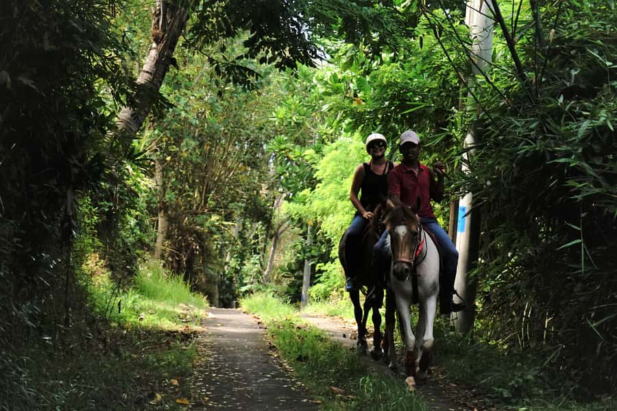 Bali: Horse Riding on Pigstone Beach and in the Rice Fields - Price and what $56 gets you in Bali value terms