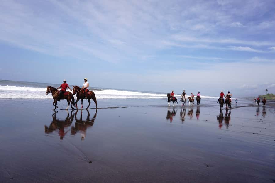 Bali: Horse Riding on Pigstone Beach and in the Rice Fields - Getting picked up in Canggu, Seminyak, Kuta, and more without chaos