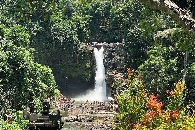 Bali Iconic Tour with Buffet Lunch and Attraction Tickets - Sacred Monkey Forest Sanctuary: macaques up close, keep it respectful