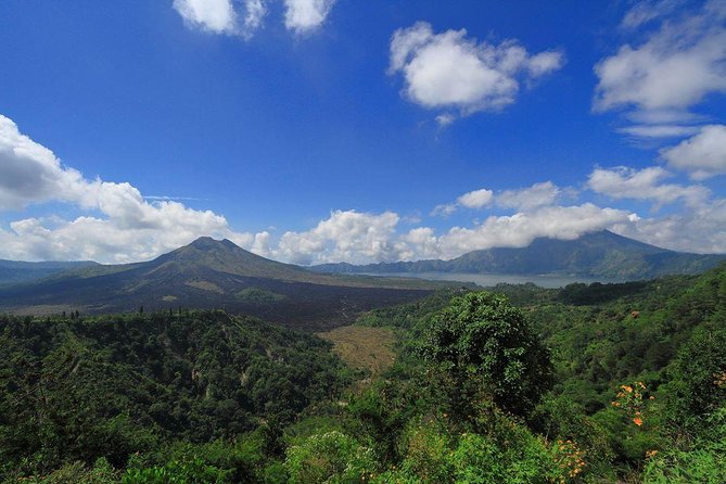 Bali Iconic Tour with Buffet Lunch and Attraction Tickets - Price and value: what $77 buys you in Bali planning terms