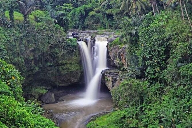 Bali Inclusive Tour: Best Waterfalls Around Ubud Area - A Ubud waterfall day trip that feels efficient, not rushed