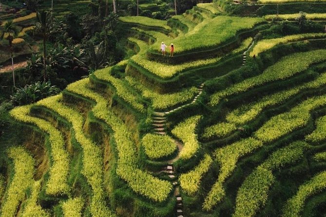 Bali Instagram Tour - All Inclusive - Why this Ubud Instagram loop starts before dawn