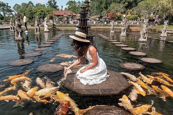 Bali Instagram Tour - All Inclusive - Tegalalang Rice Terrace at 17:00: irrigation views and camera-friendly light