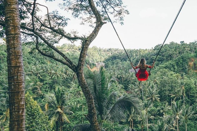 Bali Instagram Tour from Your Hotel (Private & Full-day) - Why This Hotel-to-Icon Stops Plan Works So Well in Kuta